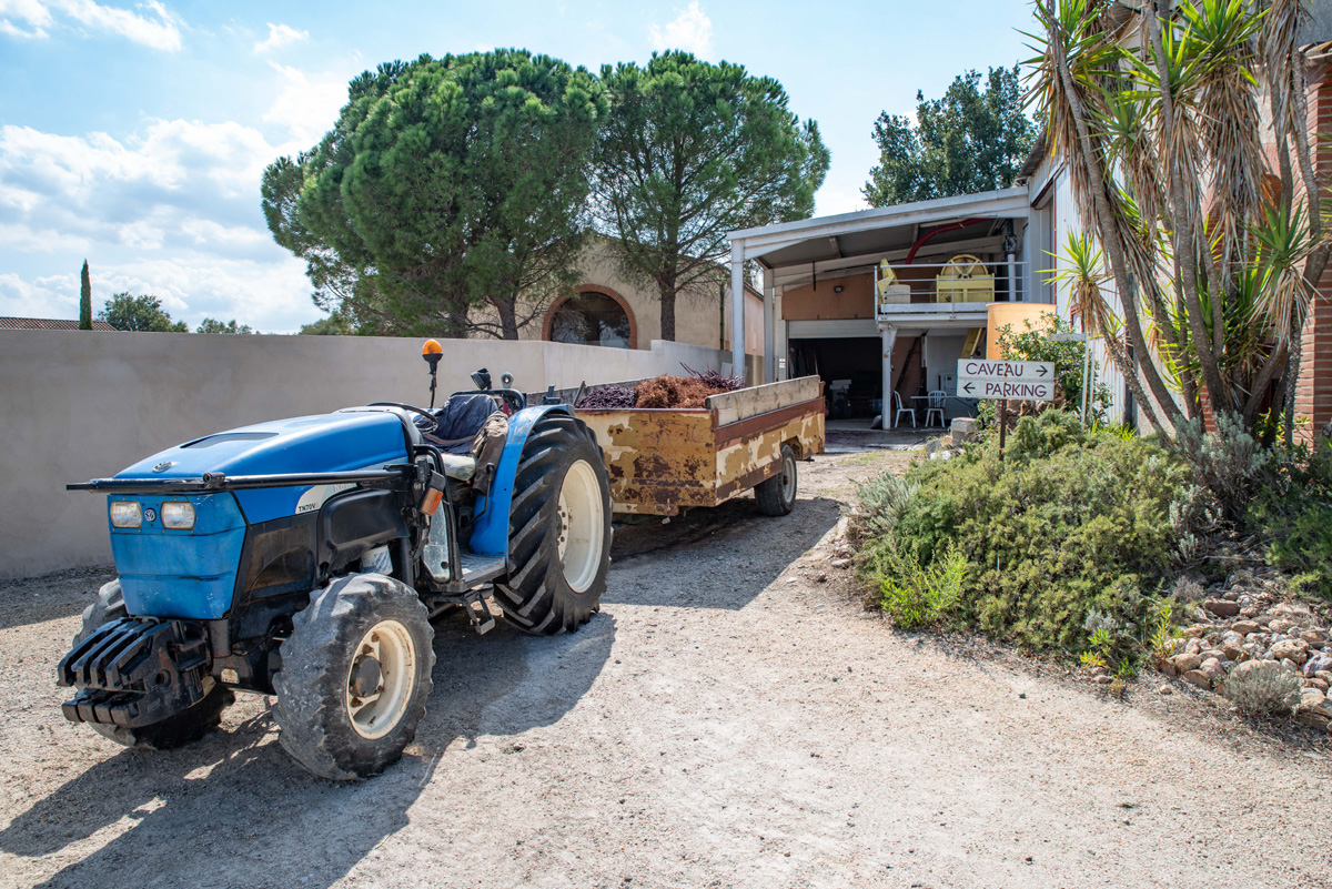 Domaine Spiaggia6
