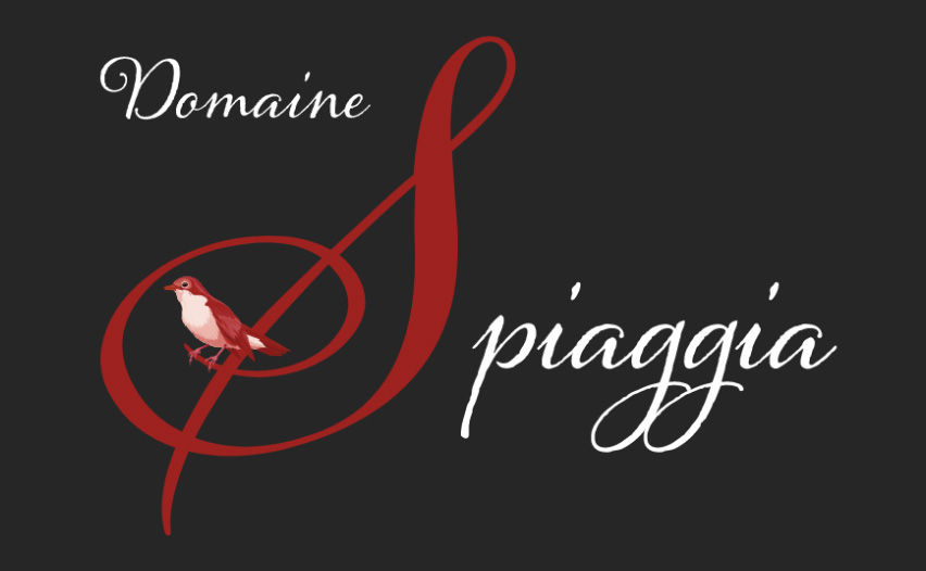 Logo spiaggia